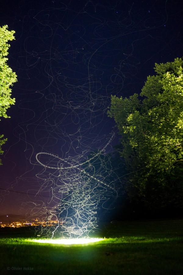 Chateau Des Charmes Guereins Exteriér fotografie