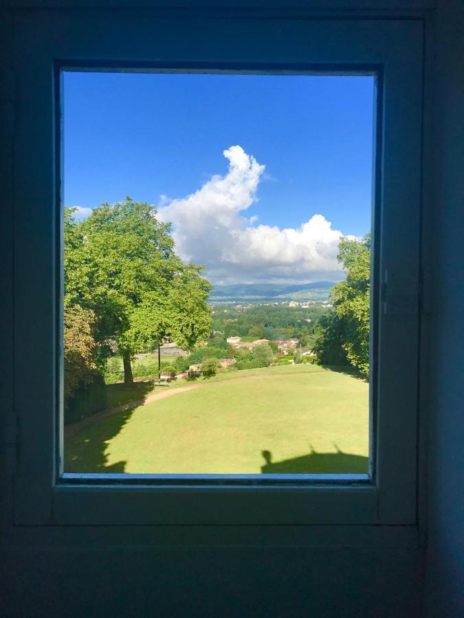 Chateau Des Charmes Guereins Exteriér fotografie