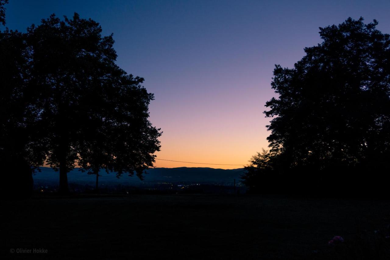 Chateau Des Charmes Guereins Exteriér fotografie