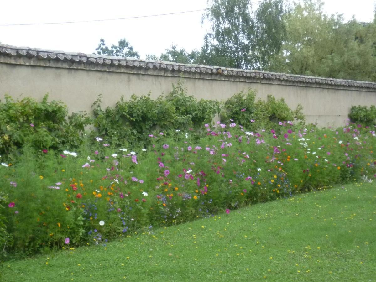 Chateau Des Charmes Guereins Exteriér fotografie